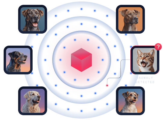 Data Analysis and Anomaly Detection illustration